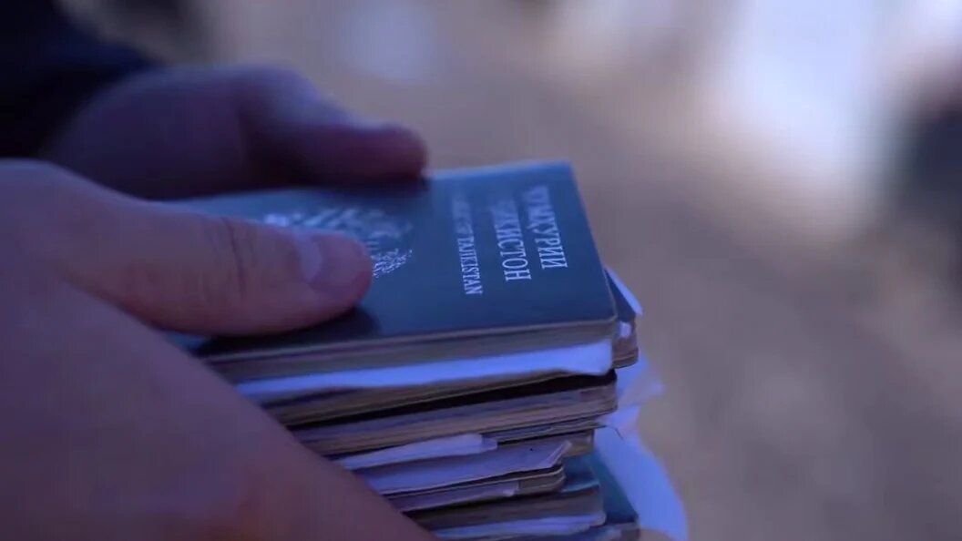    Скриншот видео ГУ МВД по Челябинской области.