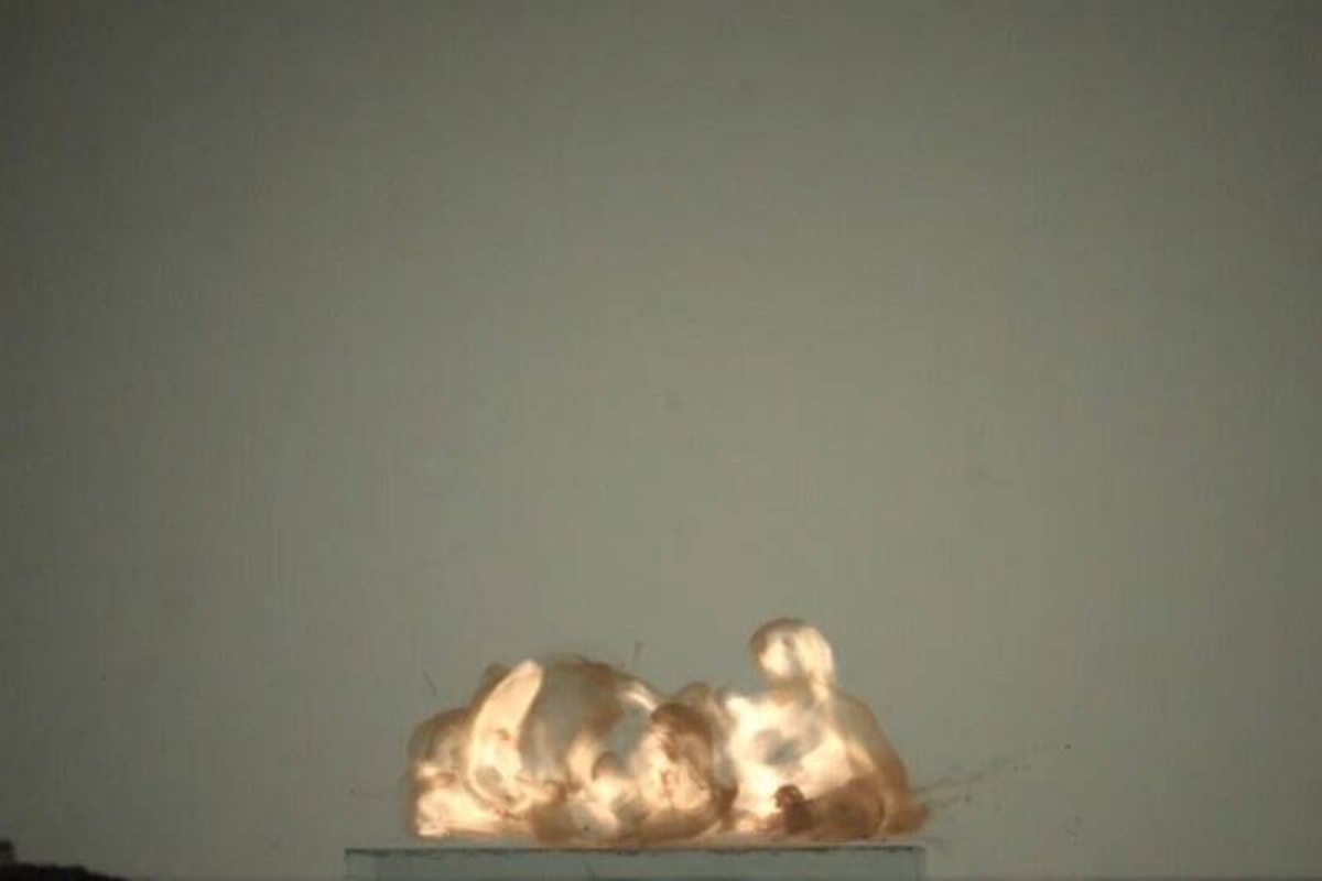    Фото: пресс-служба ТПУ, источник: tpu.ru