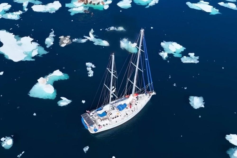 Источник фото: тг-канал Арктика Онлайн