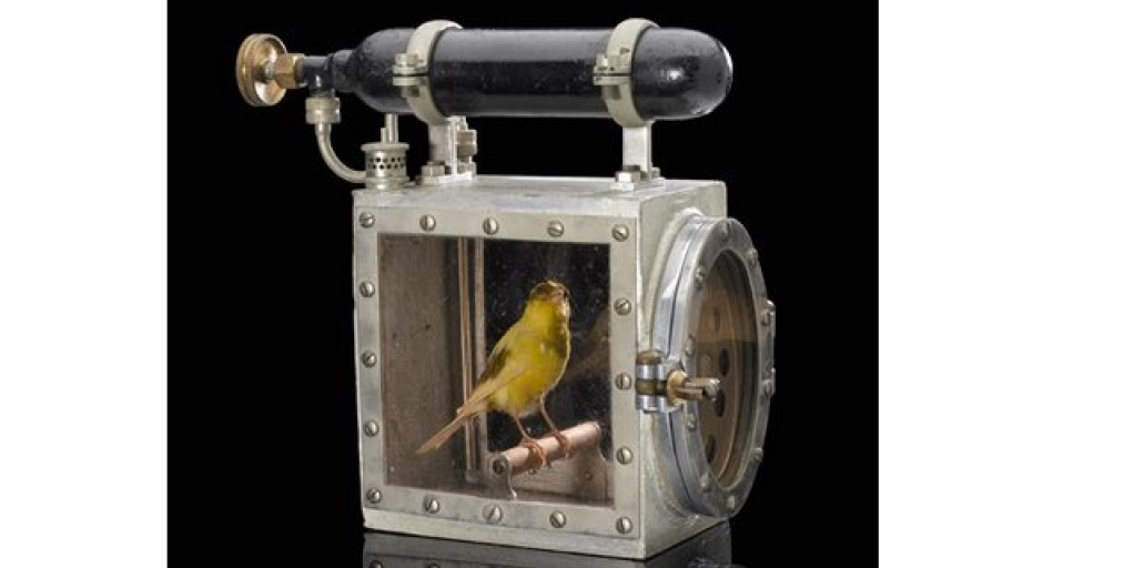 MiningWiki📷Канарейка в клетке