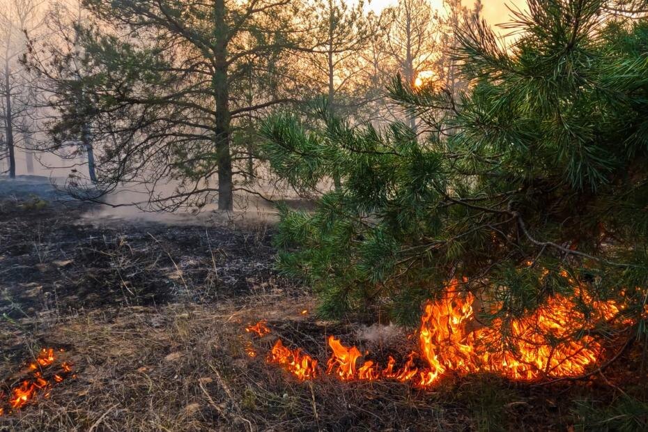    Shutterstock/FOTODOM