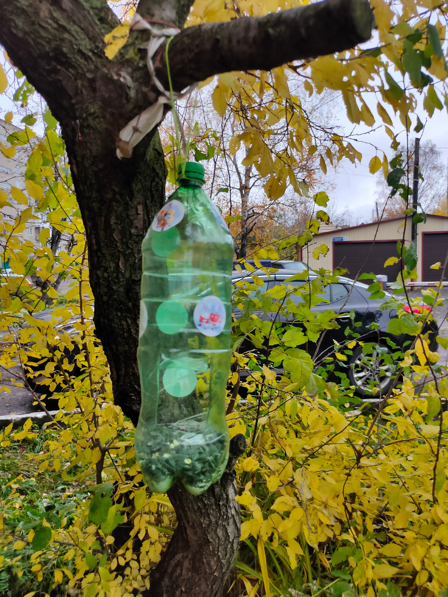 Даже птички уже понимают, что зёрнышки стоят денег 