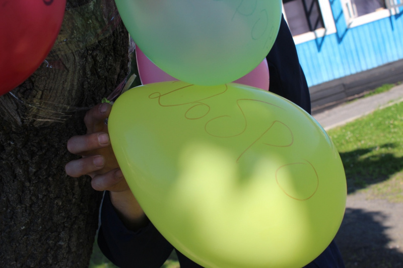    Заключенные в Карелии послали себе добро через воздушные шарыУФСИН Карелии