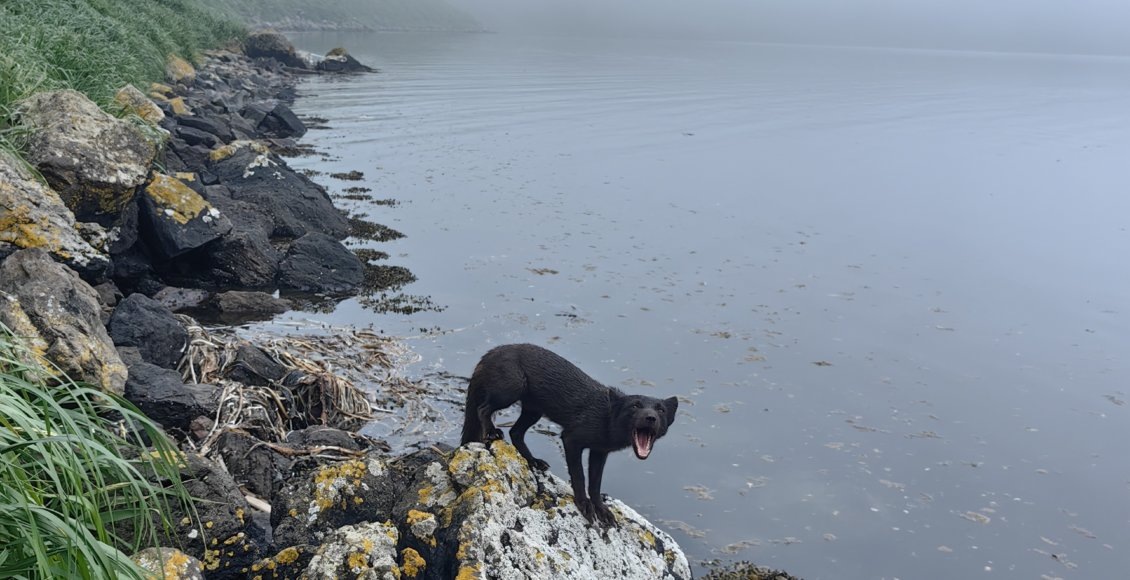    Фото: Семён-Галыга