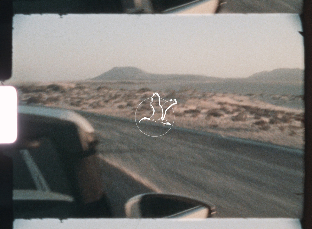 Мы в первую очередь художники, поэтому вопросы красоты нашего проекта все эти годы занимали нас в первую очередь