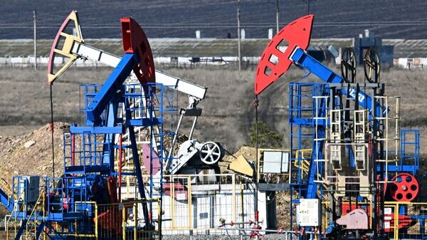    © РИА Новости . Максим Богодвид