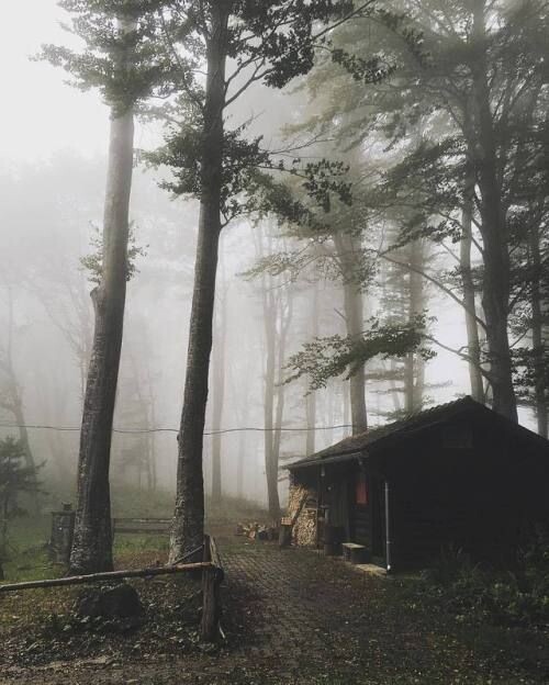 фото из интернета