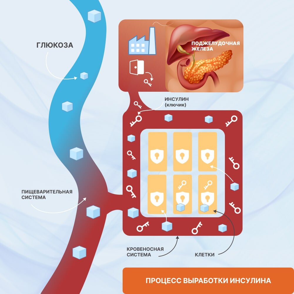 Патофизиология сахарного диабета 2 типа