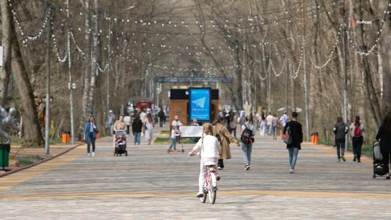      Фото: ИА «Победа26»