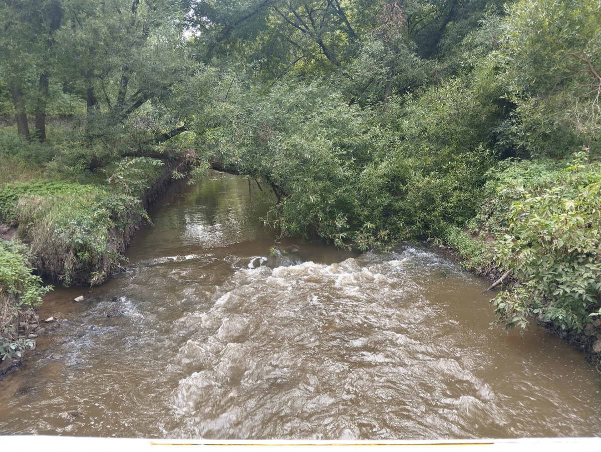 Парк Отрада. 11.08.2025 г, понедельник. ЗДЕСЬ и далее фото автора и(или) из личного архива автора, если не указано иначе.
