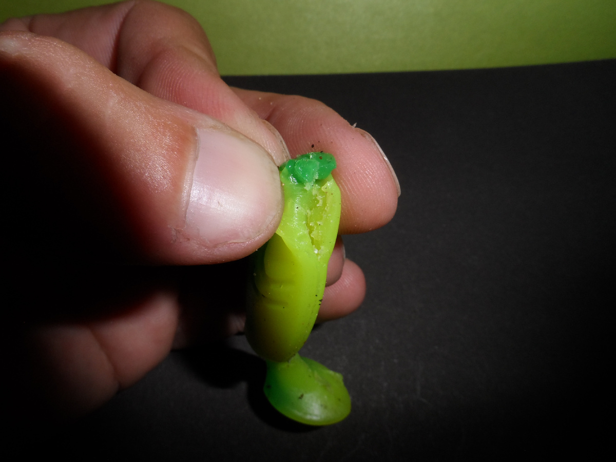 Порвалась при поклевке судака