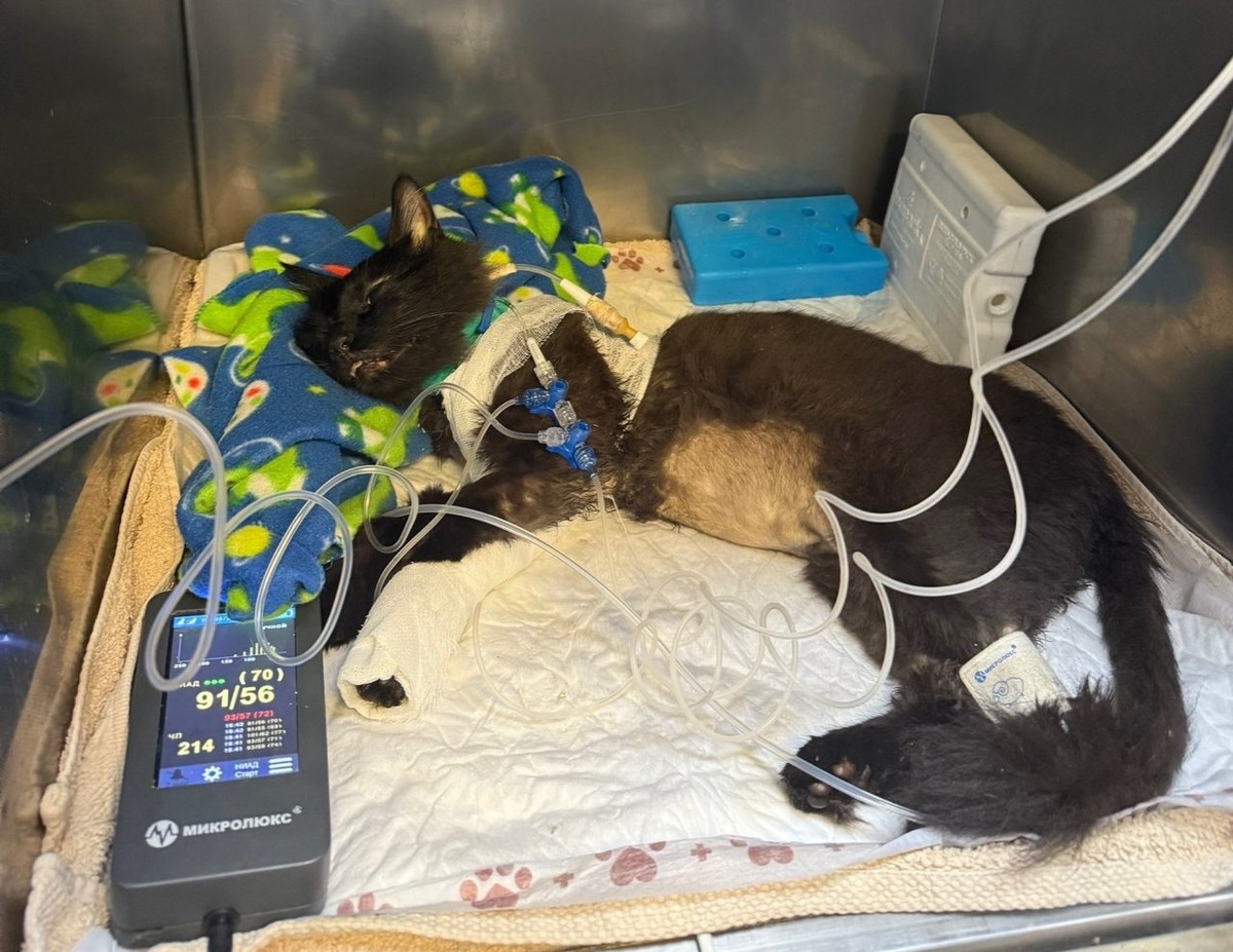     Фото: предоставлено Дианой К.