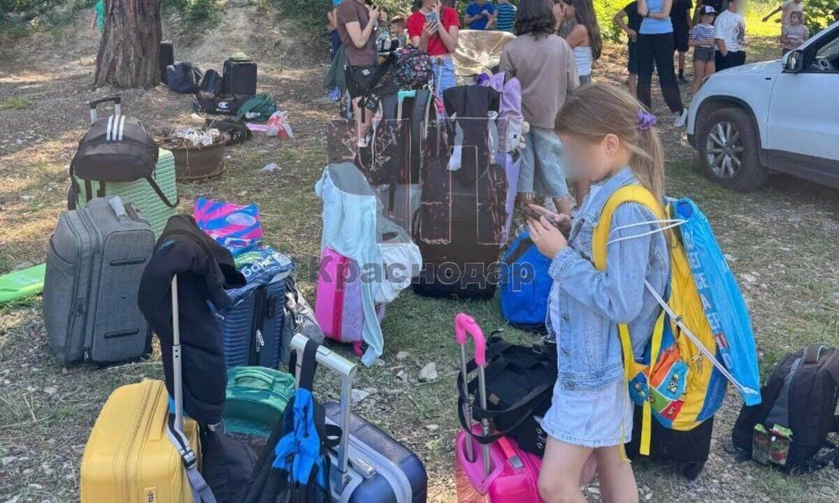    Фото t.me/chp_krd