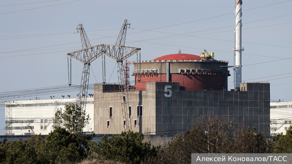     Фото: Алексей Коновалов/ТАСС   
 Текст: Валерия Городецкая