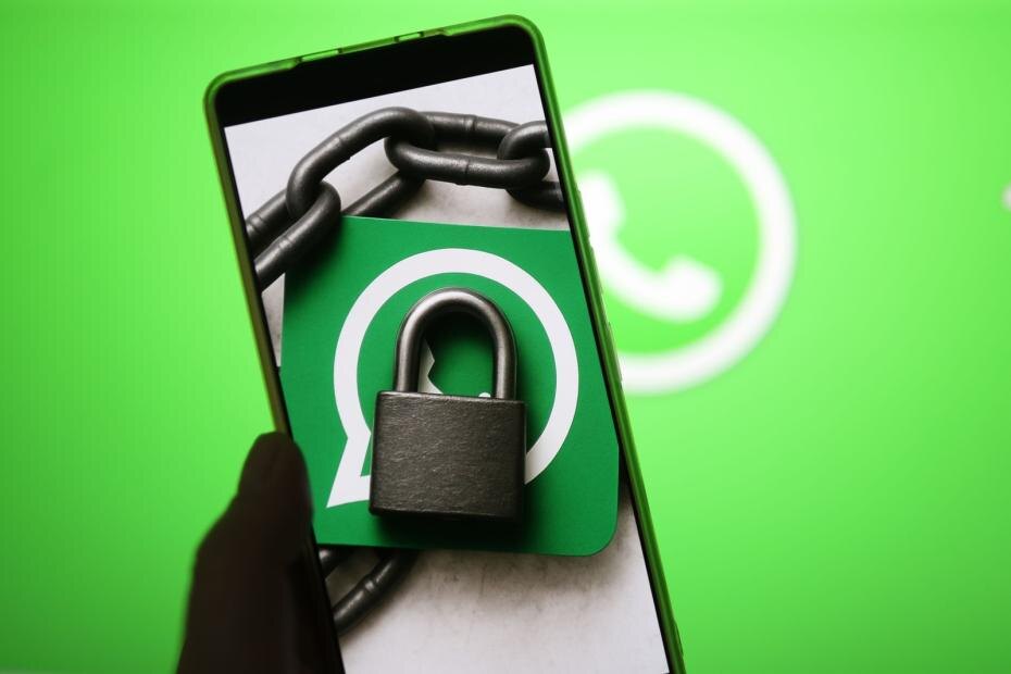    Александра Погиба/NEWS.ru