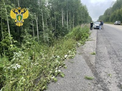    Фото: Прокуратура Республики Карелия