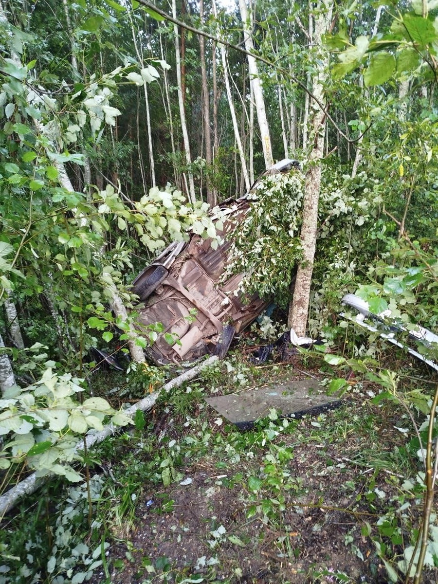    Фото: госавтоинспекция Карелии/ ВКонаткте