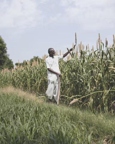    Mango и Materra представили коллекцию из регенеративного хлопка (фото 2)