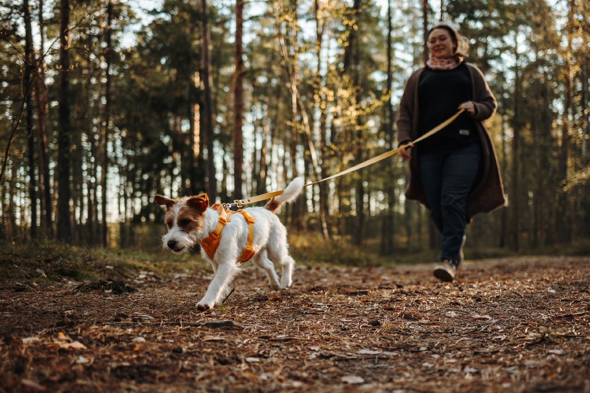 Это маленькая Мята