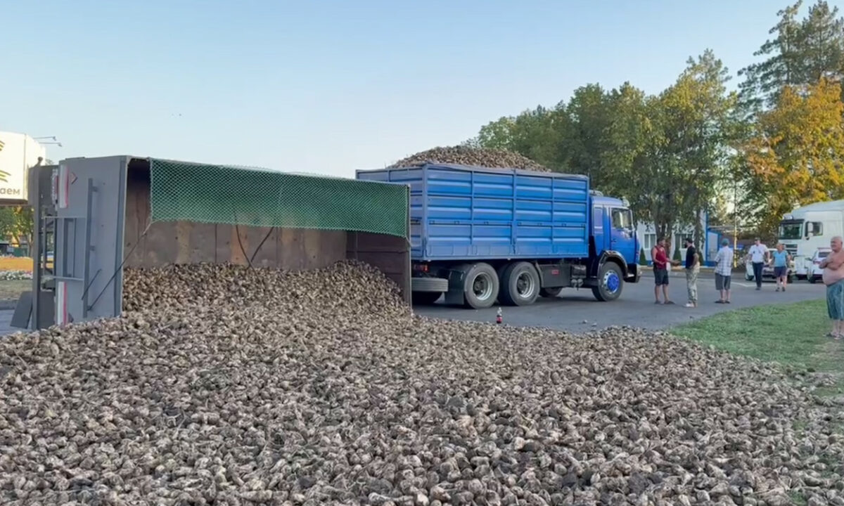    Фото t.me/leningradadmin