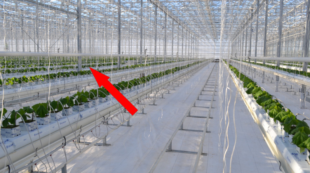    Сады под куполами Норильска