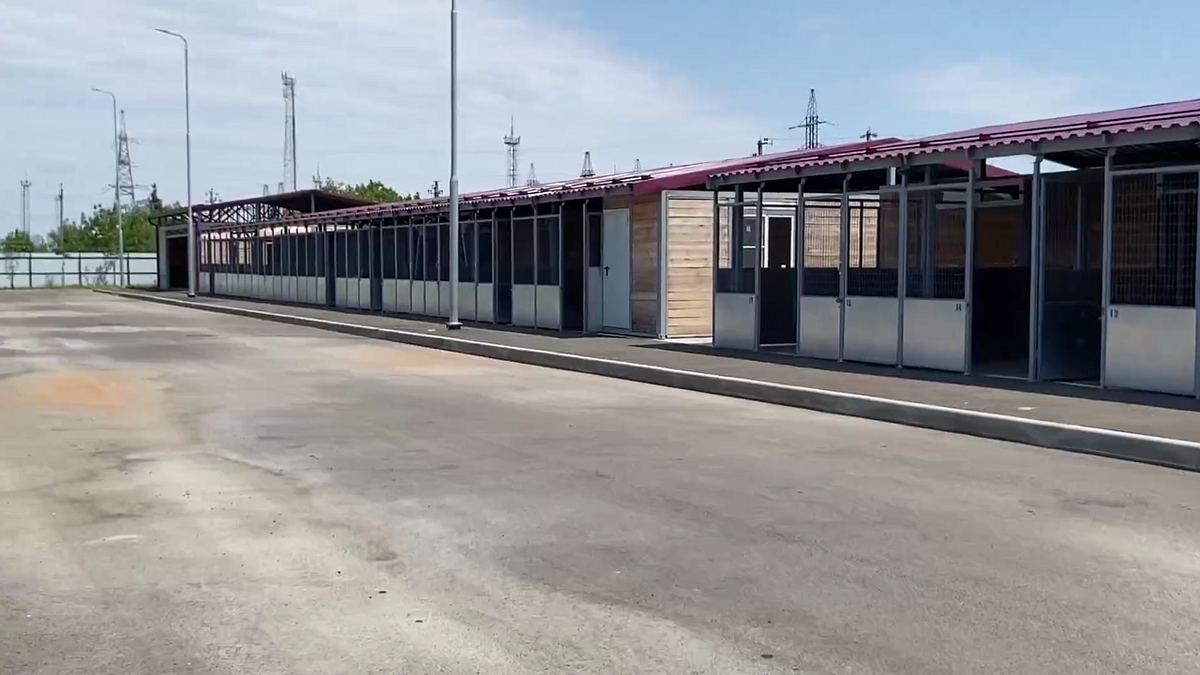    Фото: телеканал «Краснодар»