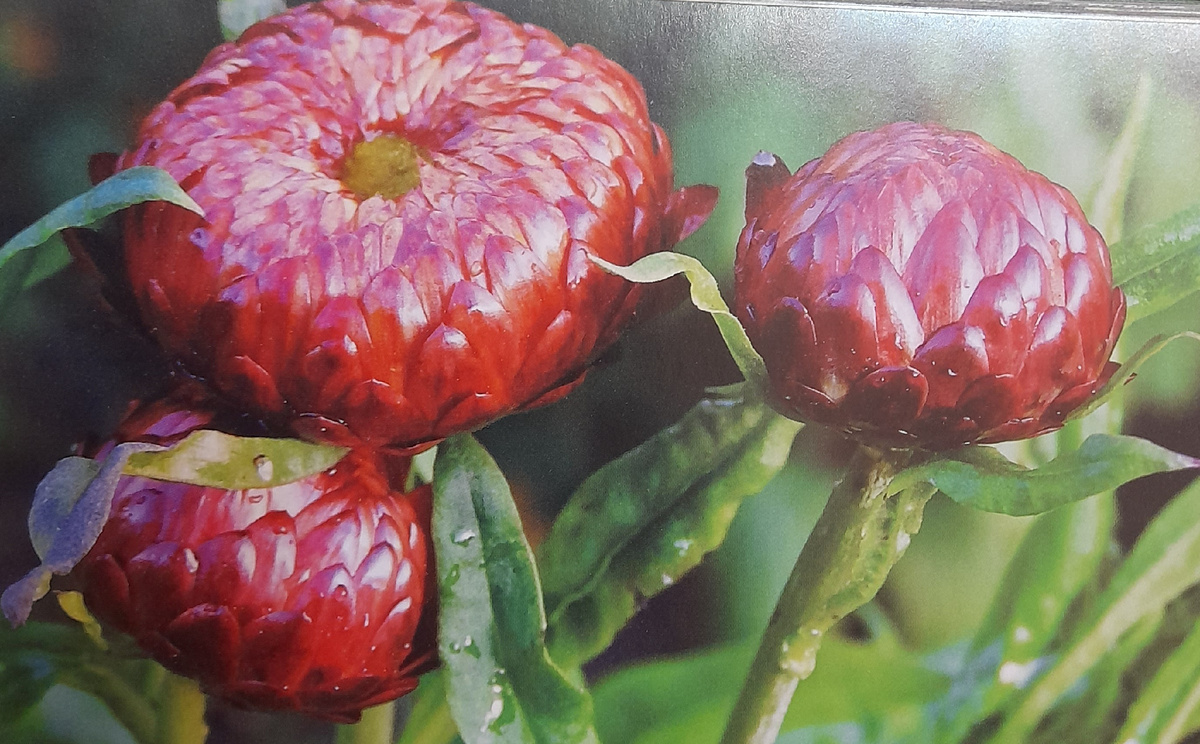 Фото автора канала