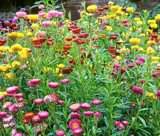 Фото из свободного доступа