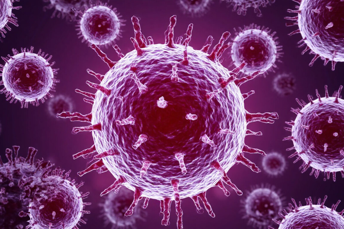    Фото: Сгенерировано ИИ, источник: shedevrum.ai