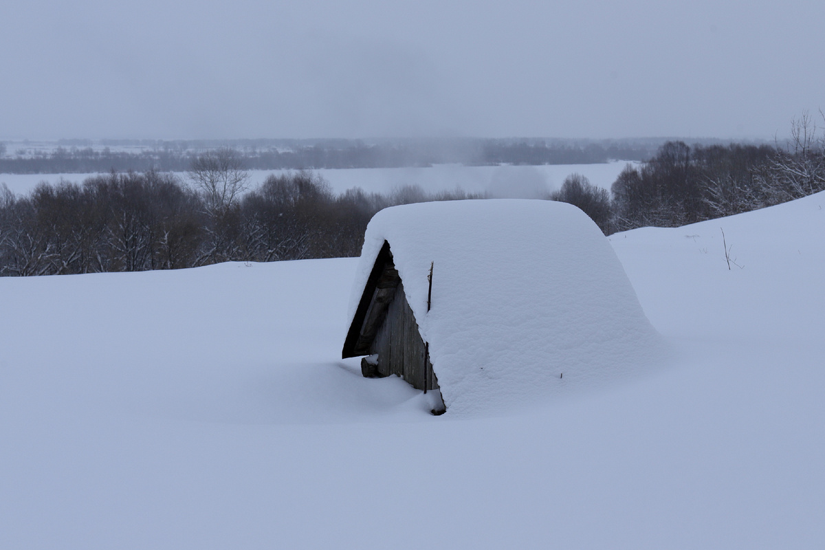 Январь 2022 года