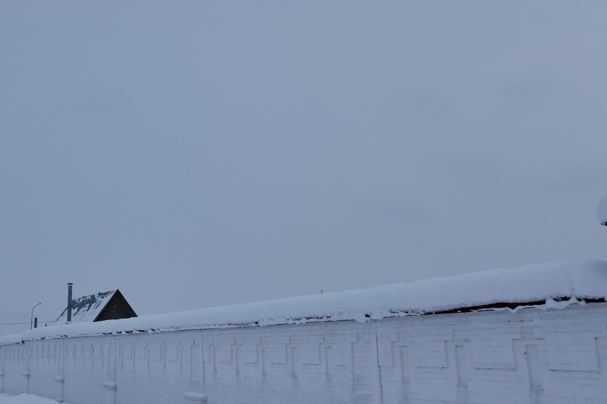 Январь 2022 года