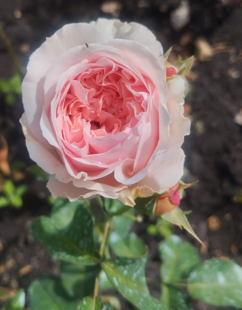 фото Татьяны