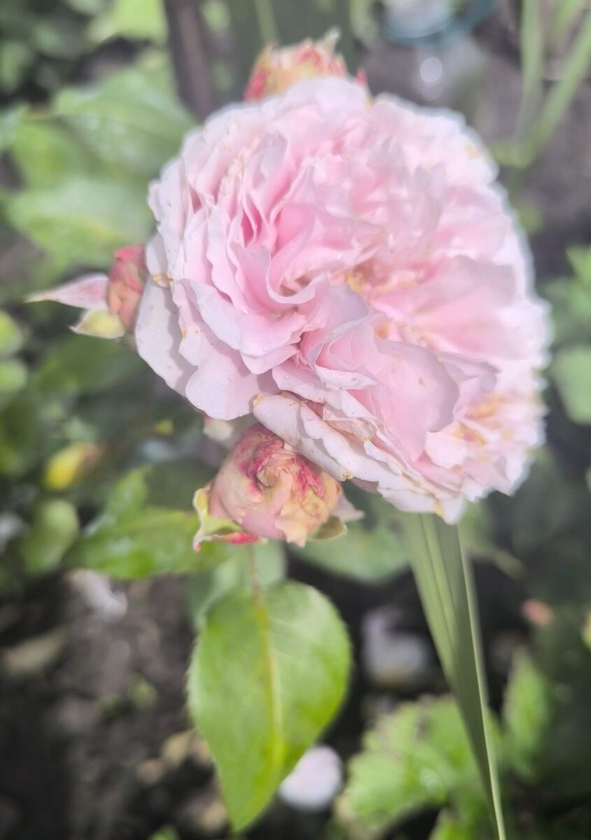 фото Татьяны