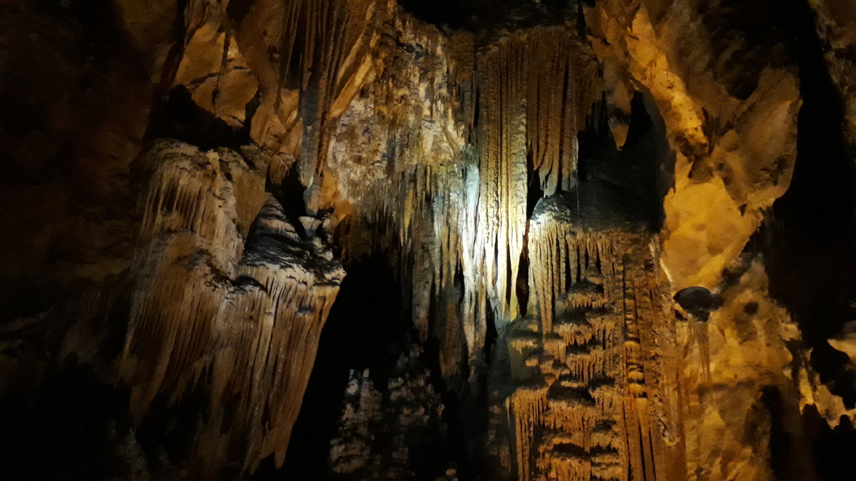 Листайте вправо. В темноте не особо поснимаешь, но какое-то представление составить можно.