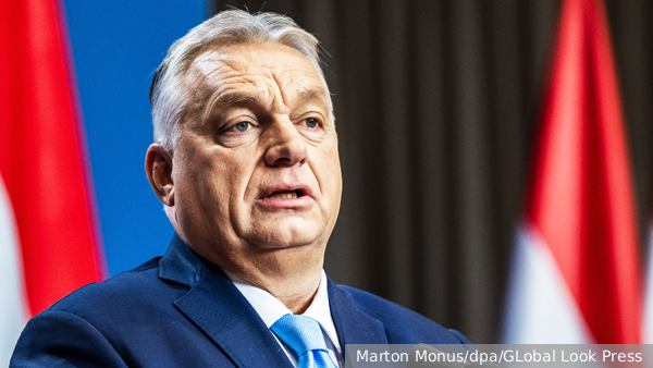     Фото: Marton Monus/dpa/GLobal Look Press   
 Текст: Евгения Караваева