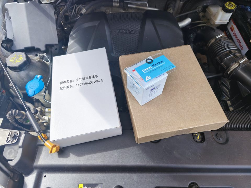 Запчасти на фото: 1109104XGW02A