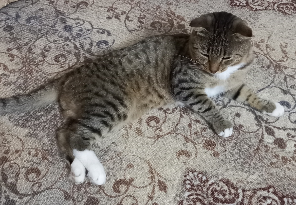 Жизнь удалась!