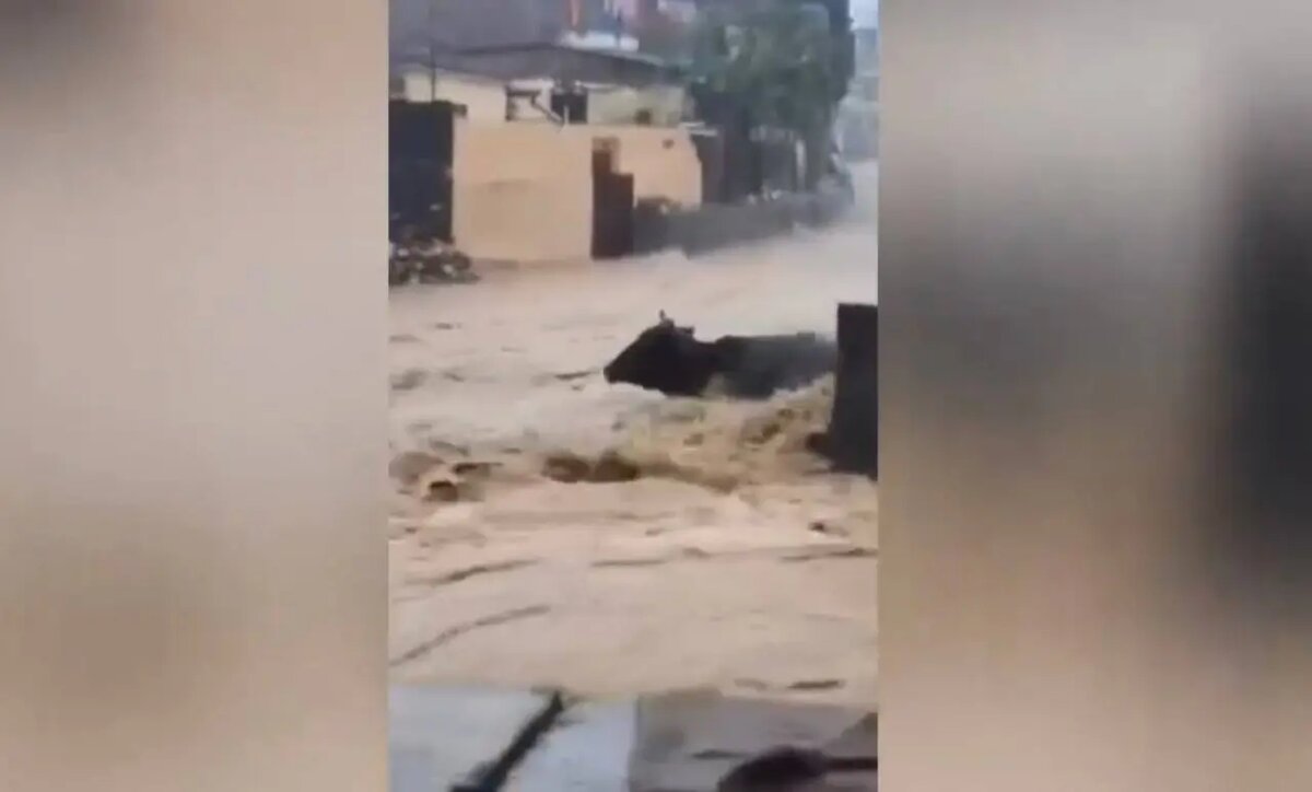    Фото: скриншот видео из соцсетей