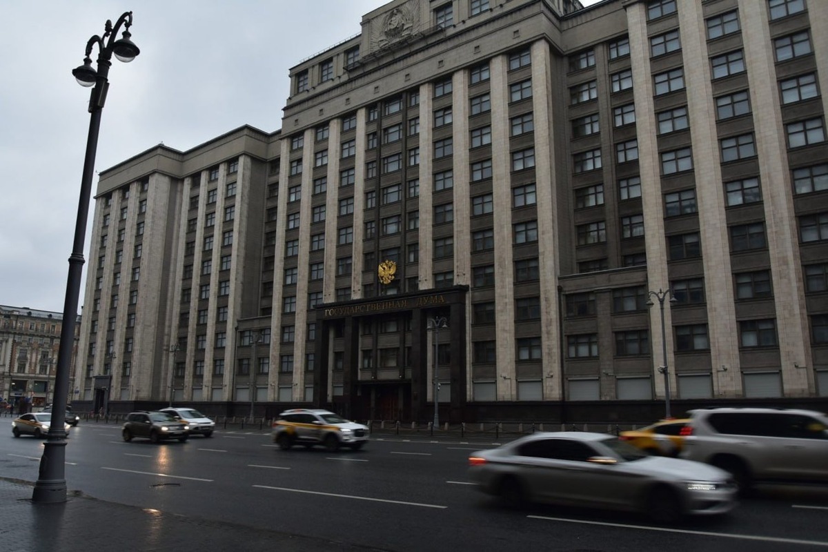   Дарья Пинегина / realnoevremya.ru