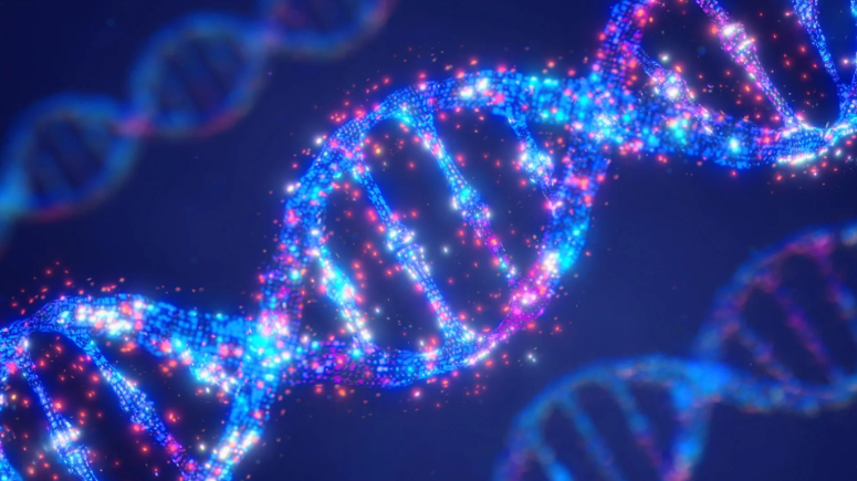Учёные разработали способ использования ДНК в качестве LEGO-подобных сборочных деталей для создания наноразмерных 3D-устройств для применения в электронике, оптике и медицине — всё это собирается в воде без использования традиционных инструментов производства. Изображение: Shutterstock