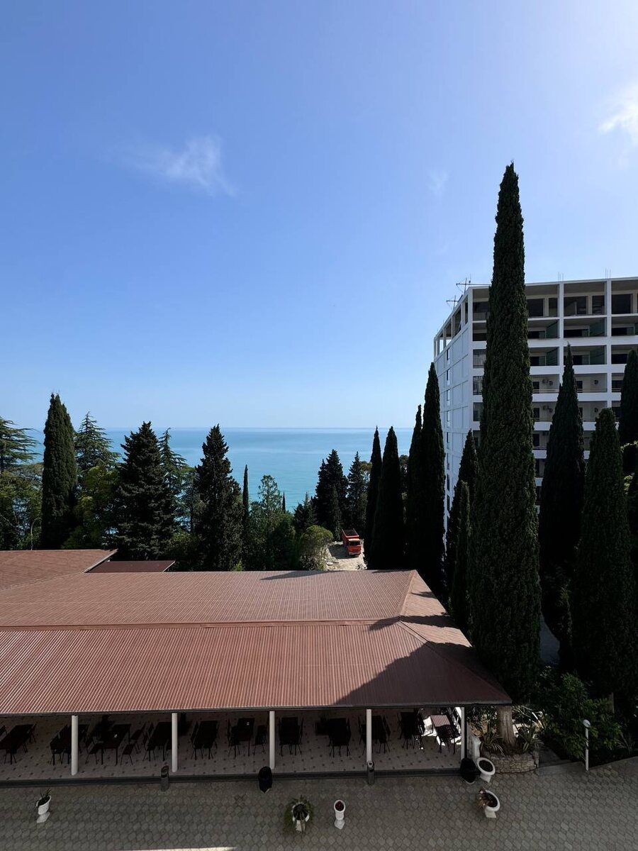 Наш вид из номера