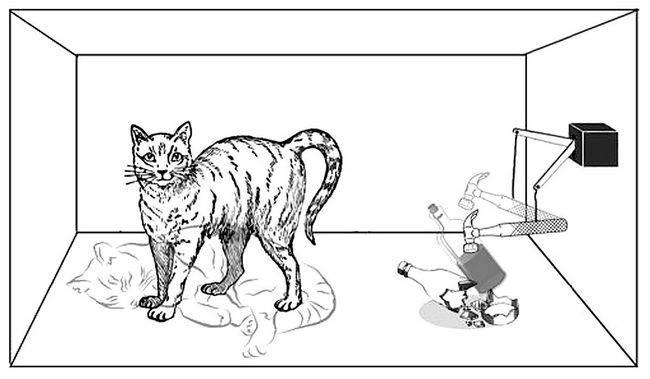 Воображаемый кот жив ! Тем более, настоящие котики пусть будут живы.