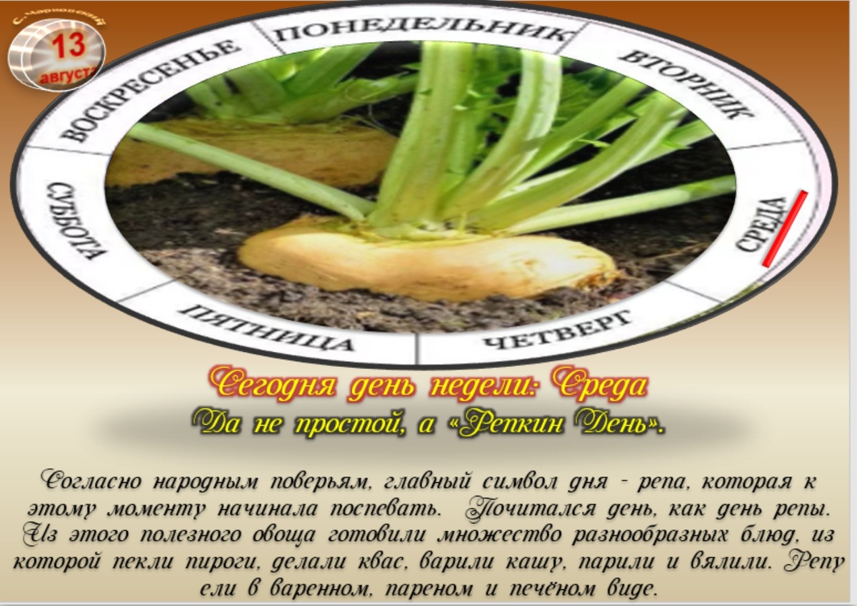 Встречаем новый день