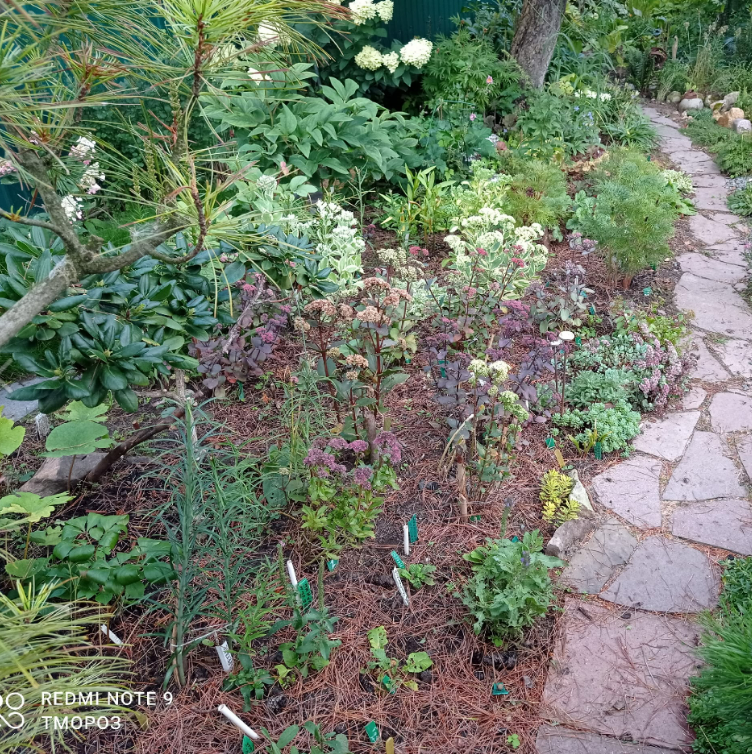 скромно, с одной стороны