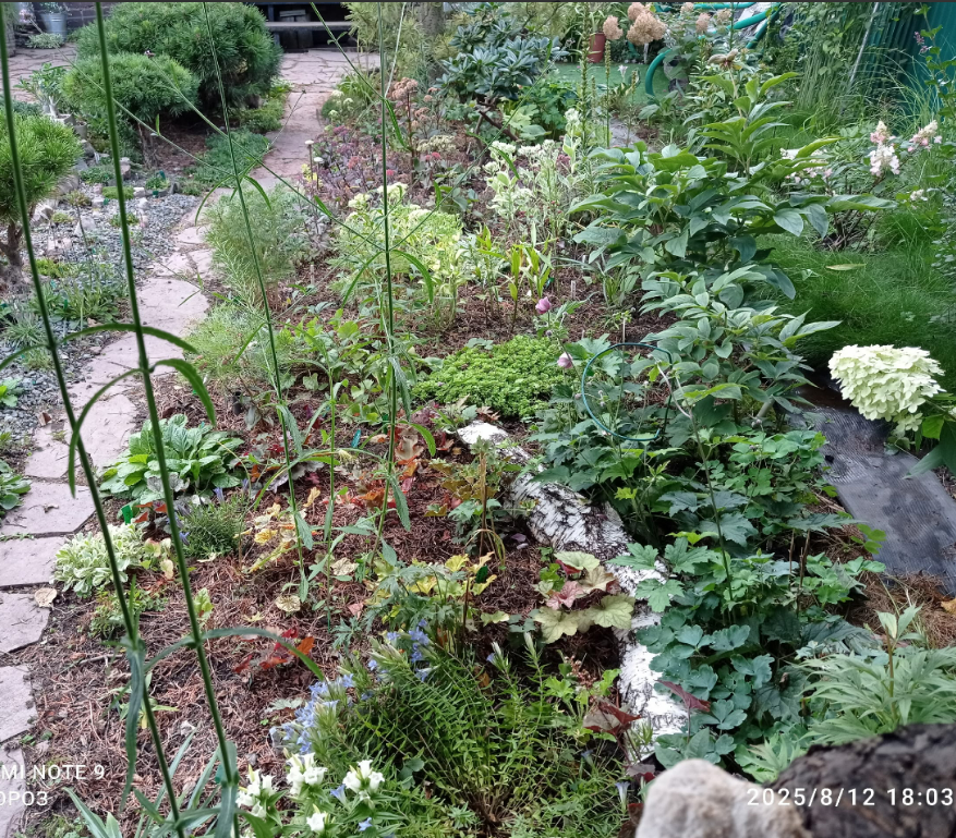 с другой стороны