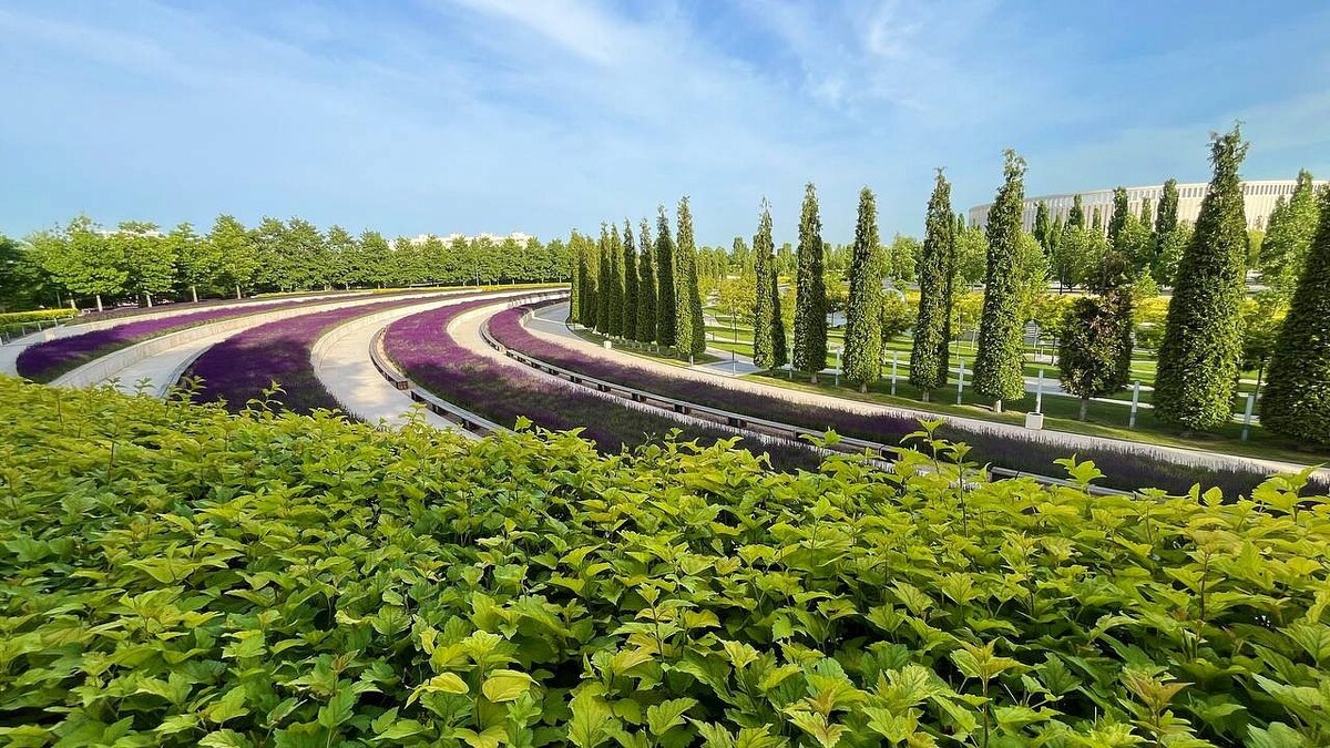    Фото: телеканал «Краснодар»