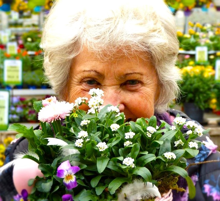 из свободных источников