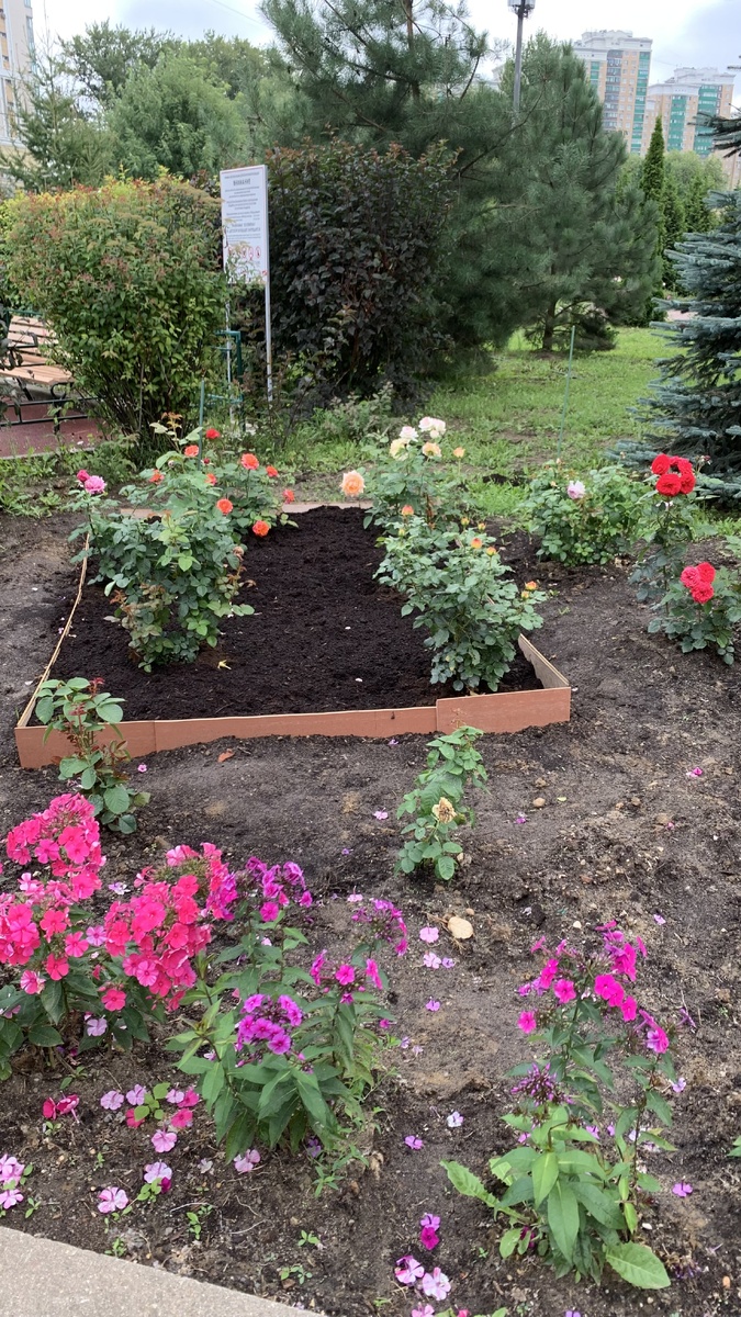 Фото автора канала