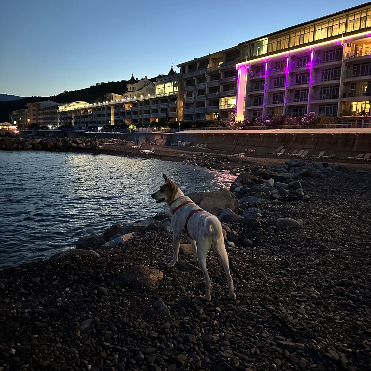 Море. Но прошлогоднее