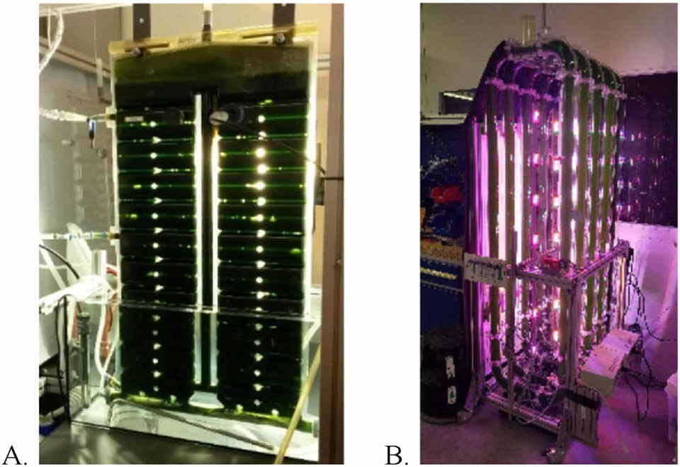 Прототипы лунных биореакторов для выработки кислорода и пищи из микроводорослей. Фото: Lina Salman et al